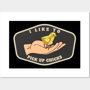 I Like To Pick Up Chicks Funny Chicken Posters and Art